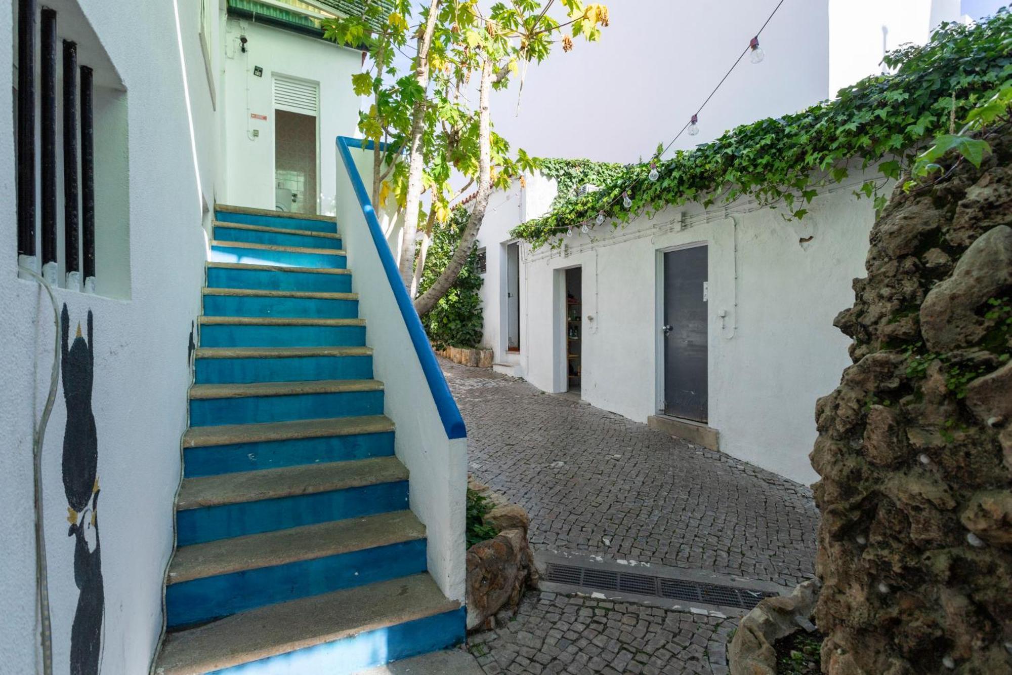 Le Penguin Hostel Distretto di Distretto di Faro Esterno foto